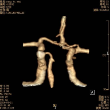 1712885919589042532.png image.png